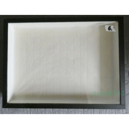 GABLOTA ENTOMOLOGICZNA OKLEINOWANA OSZKLONA 40/30cm z wyścieleniem (używana)6